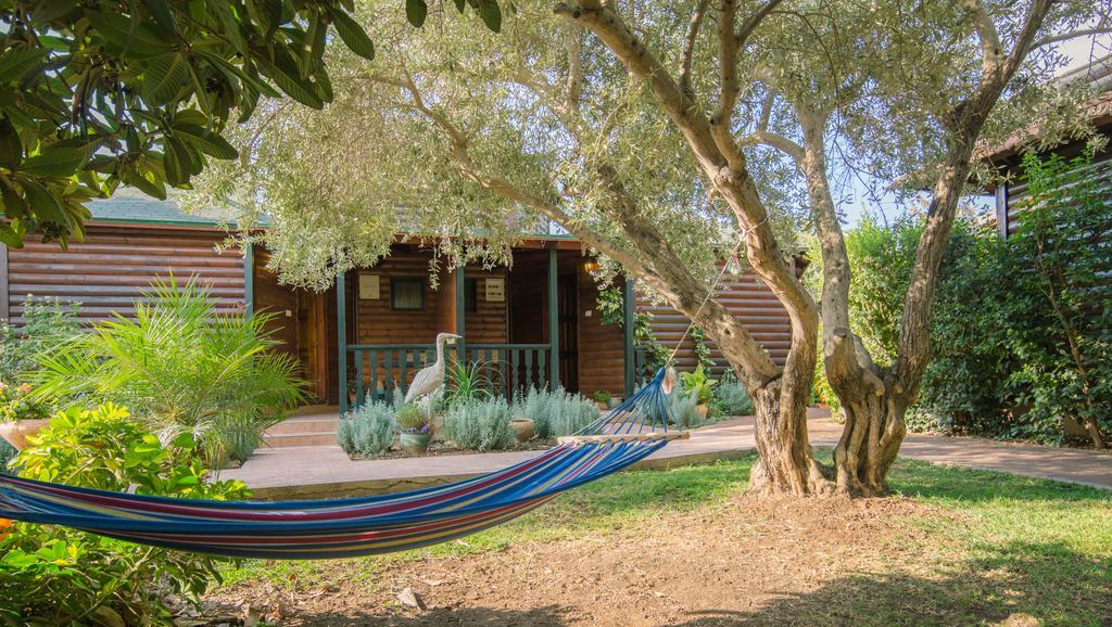Villa Lavender In The Mountains à Ramot Naftali Extérieur photo